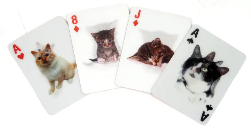 Cat-Designed 3D Morphing Playing Cards 1