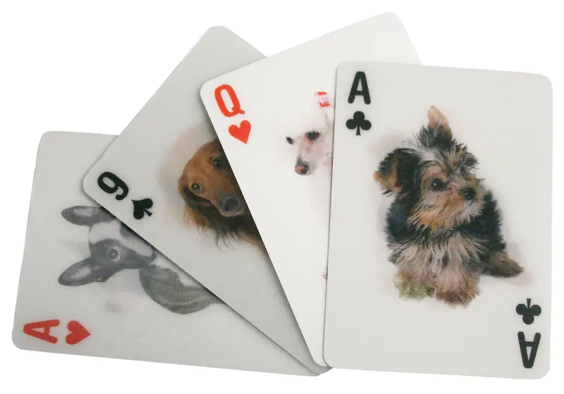 Dog-Illustrated 3D Visual Effect Playing Cards 1