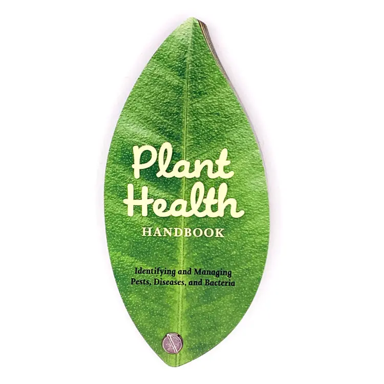 Essential Guide To Indoor & Outdoor Plant Care 1