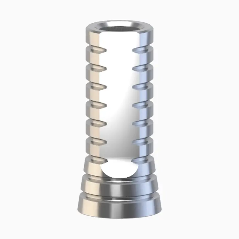 Internal Hex Single-Unit Titanium Cylinder Abutment 1