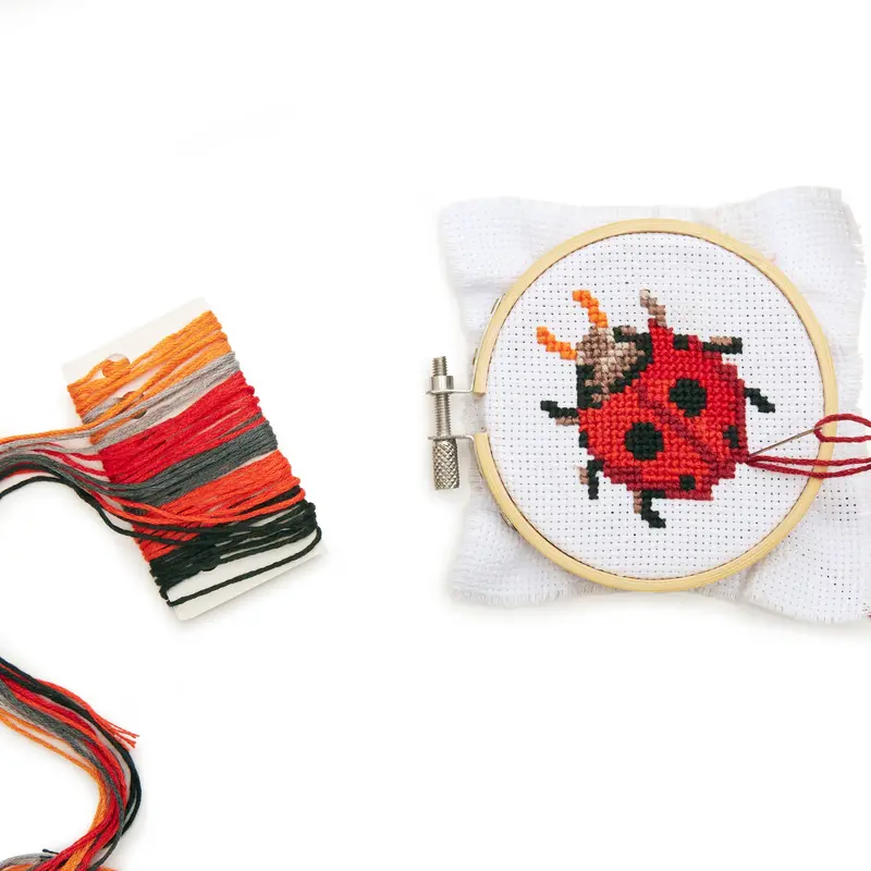 Ladybug Mini Cross-Stitch Embroidery Pattern Kit 1
