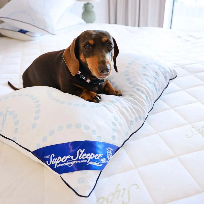 Super Sleeper Pro Adjustable Pillow – Ergonomic Cooling Support With Limited-Time Bundle 1