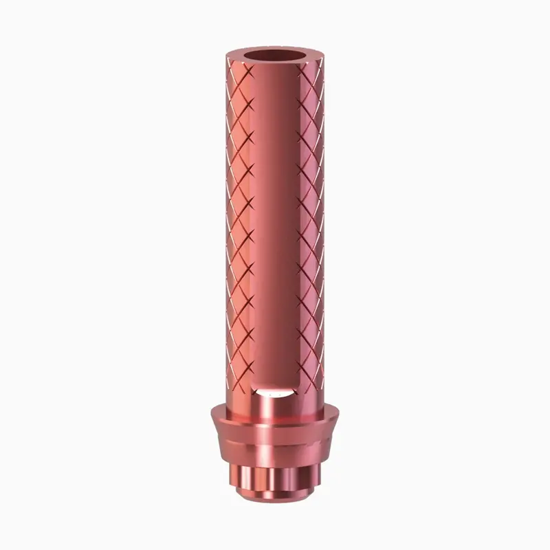 Tilobe Temporary Titanium Abutment – Wide Design, 5.5/6.5 Mm, Engaging Interface 1
